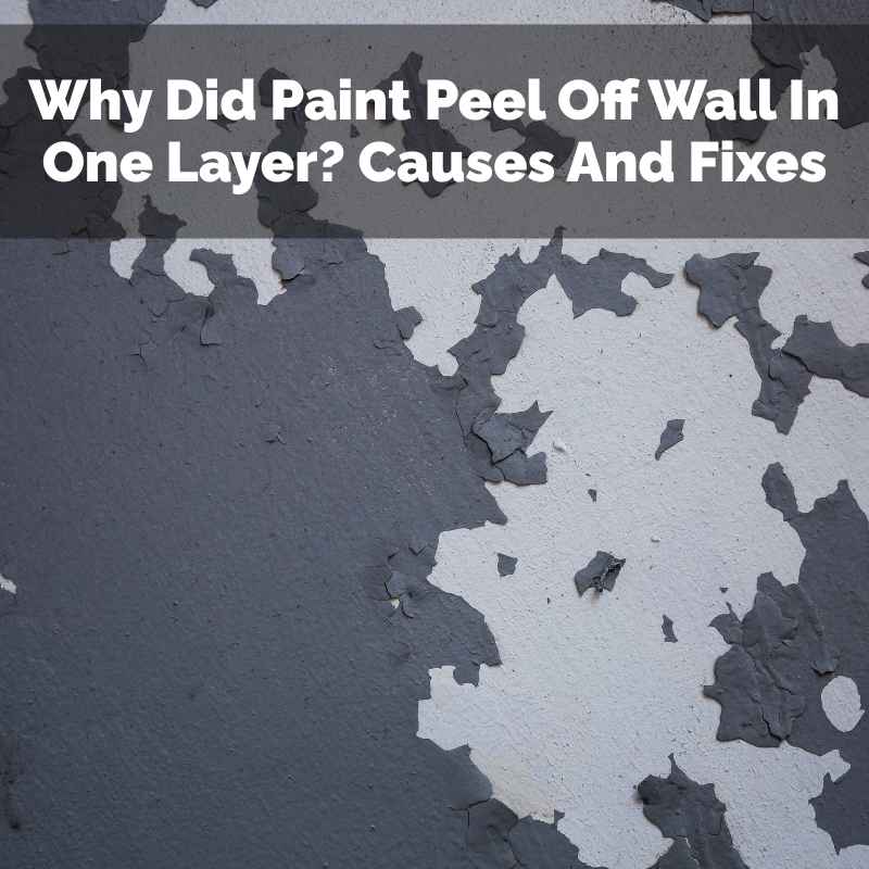 Why Did Paint Peel Off Wall In One Layer