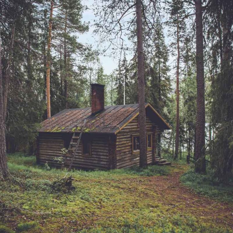 Why Was Little House In The Big Woods Banned