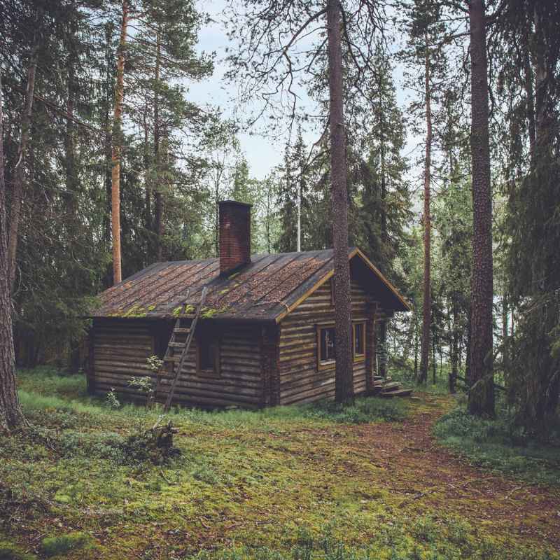Why Was Little House In The Big Woods Banned