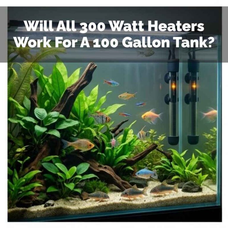 Will All 300 Watt Heaters Work For A 100 Gallon Tank