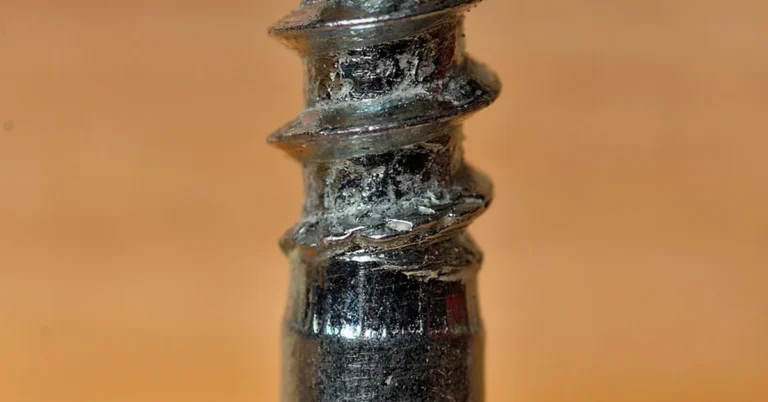 Coarse-thread wood screw close up showing self-tapping threads