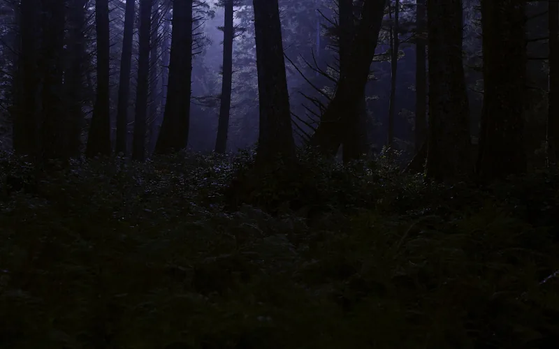 dark oak trees in a dark forest biome where Minecraft woodland mansions generate