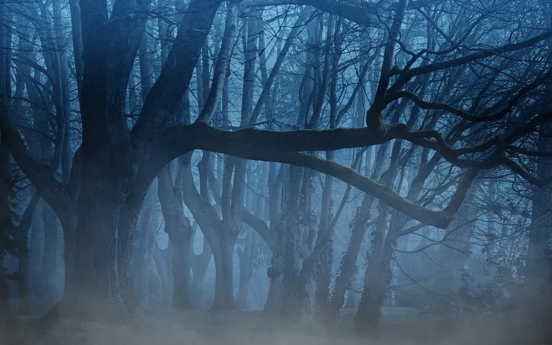 foggy dark forest landscape similar to the biome surrounding a Minecraft woodland mansion
