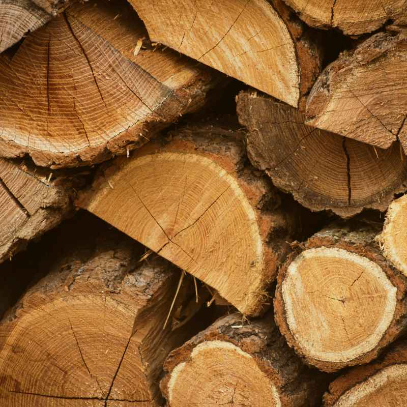 What's the Real Story: Hardwood vs. Softwood