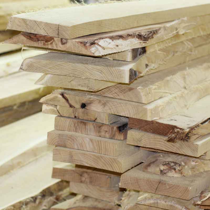 5 Differences Between Hardwood And Softwood You Should Know