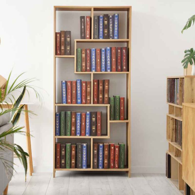 Bookshelf Vs Bookshelves