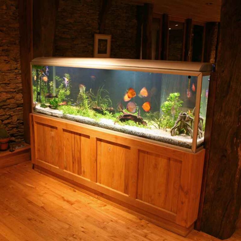 Do Black Skirted Crabs Need Heaters In A Fish Tank?
