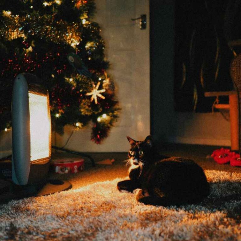 Do Infrared Heaters Raise Your Electric Bill That Much?