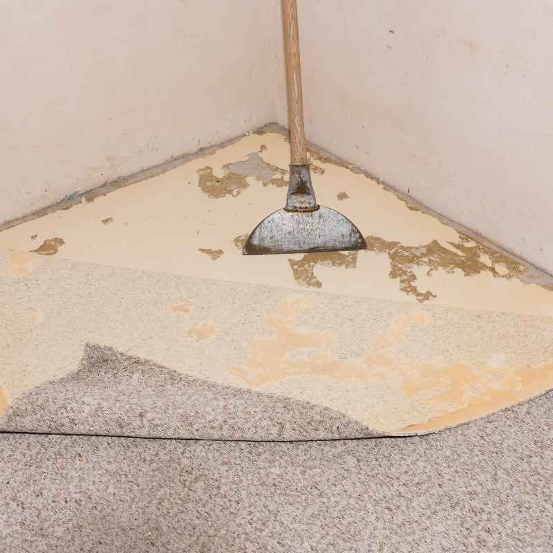 How Do You Remove Carpet That Is Glued Down Easily?