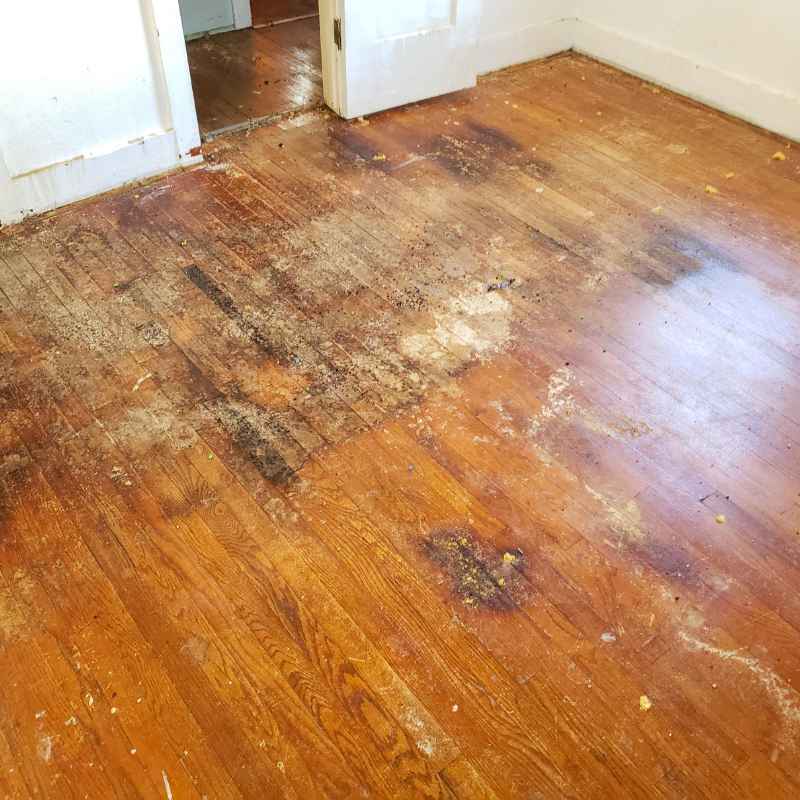 How To Get Stains Out Of Hardwood Floors Without Damage