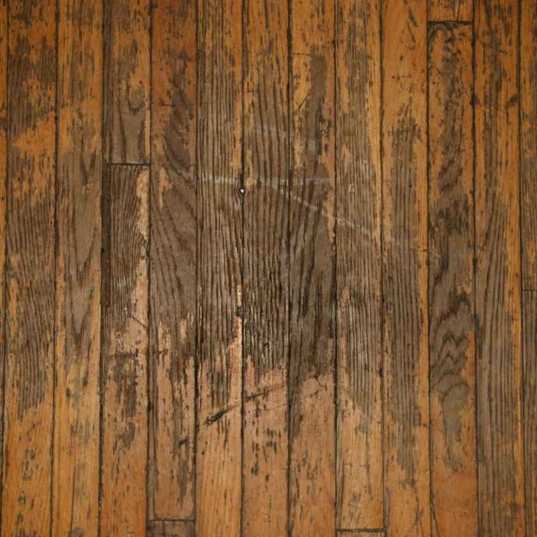 How To Get Urine Stains Out Of Hardwood Floors Permanently