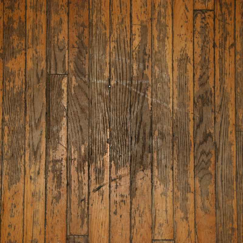 How To Get Urine Stains Out Of Hardwood Floors Permanently