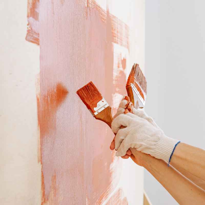 Choosing the Right Paint for Your Project