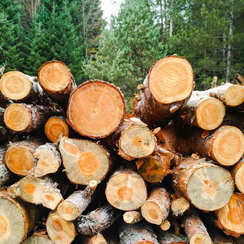 Quick Tips for Using Wood Wisely