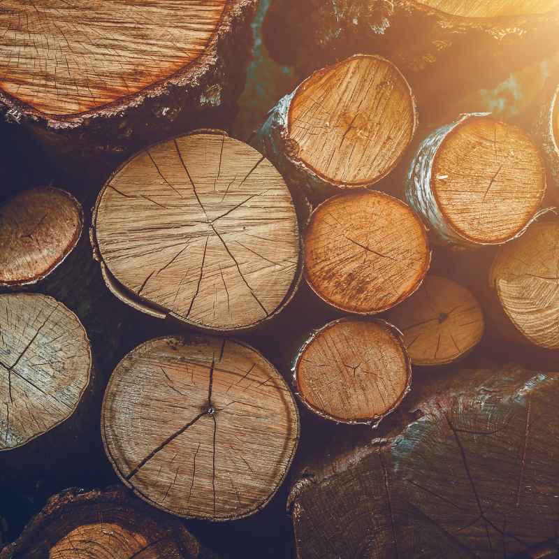 Tips for Effective Wood Drying