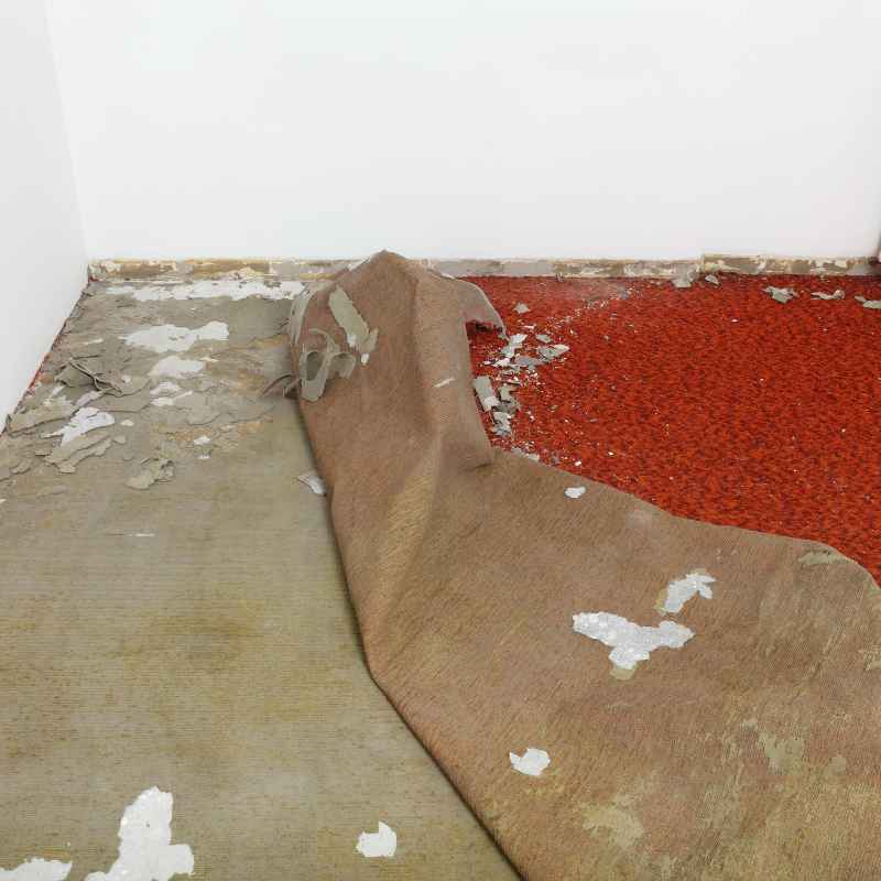 Step-by-Step Removal Process