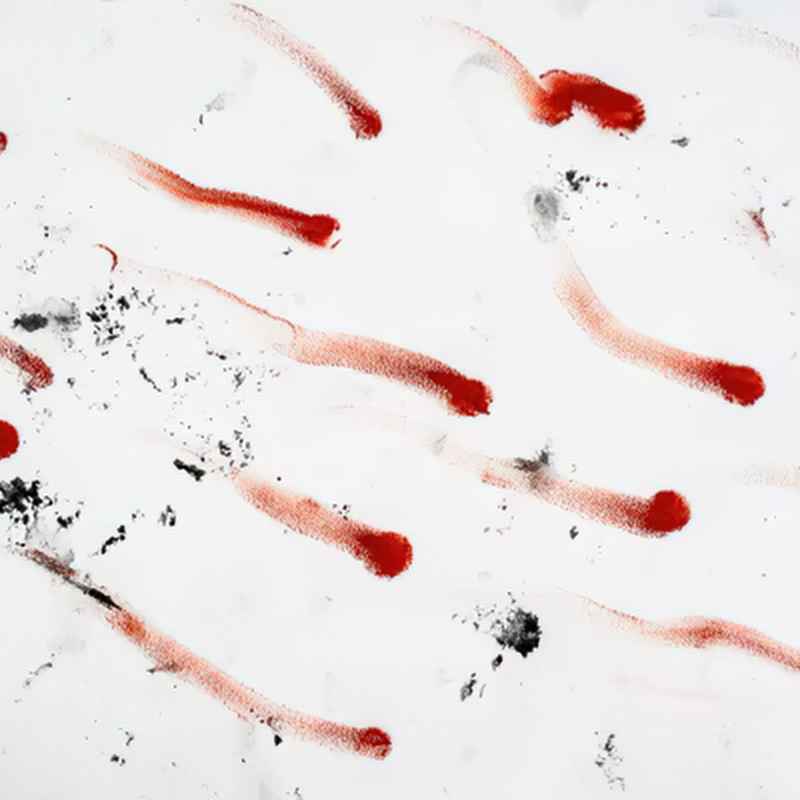 Understanding Blood Stains on Concrete