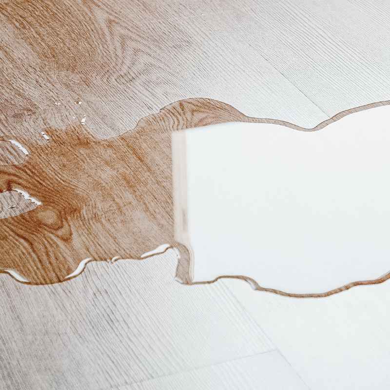 Understanding Dog Urine Stains on Wood