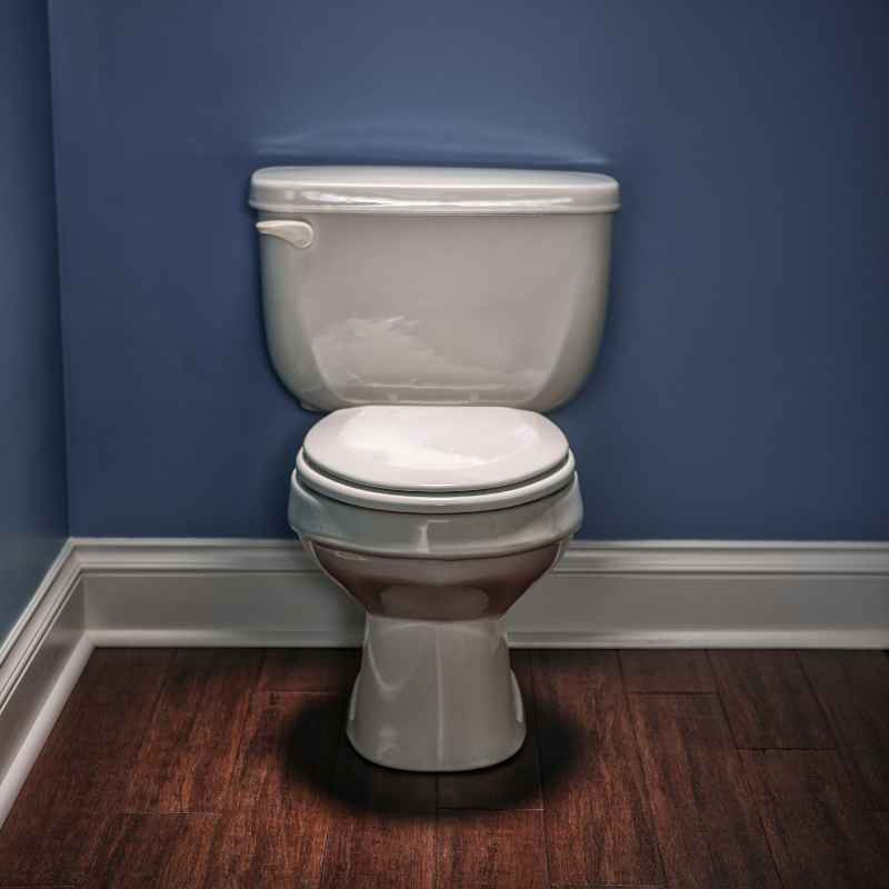 Understanding Elongated Toilet Bowls
