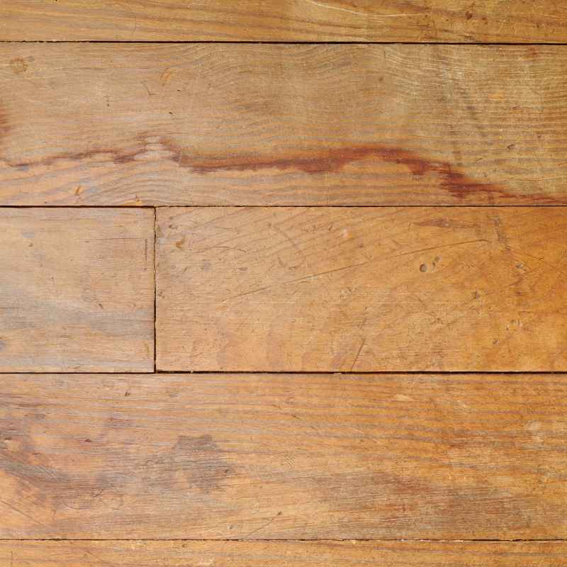Understanding Hardwood Floor Urine Stains