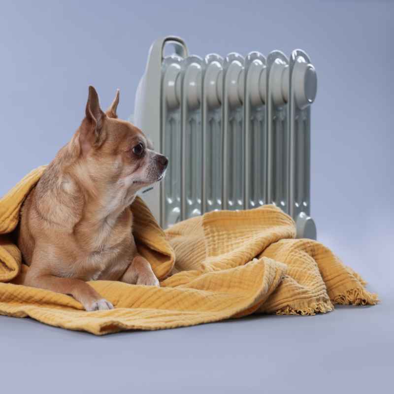 Understanding How Portable Heaters Work