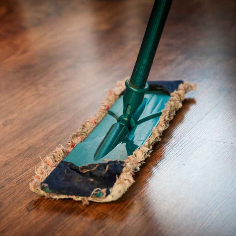 Understanding Steam Mops and Wood Floors
