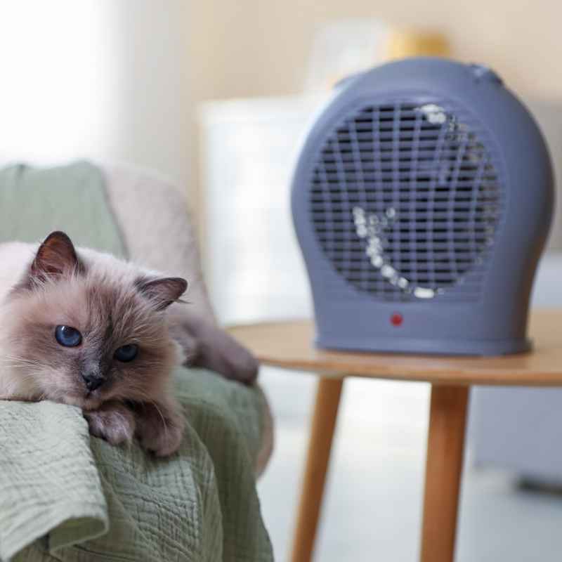 My Experience with Space Heaters