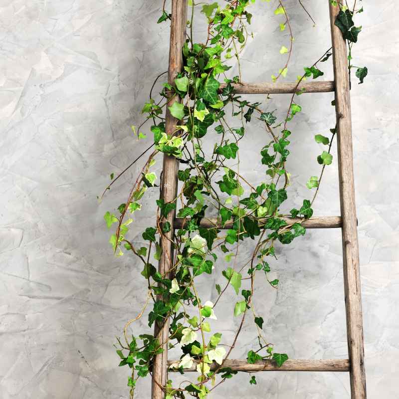 What is Farmhouse Ladder Decor?