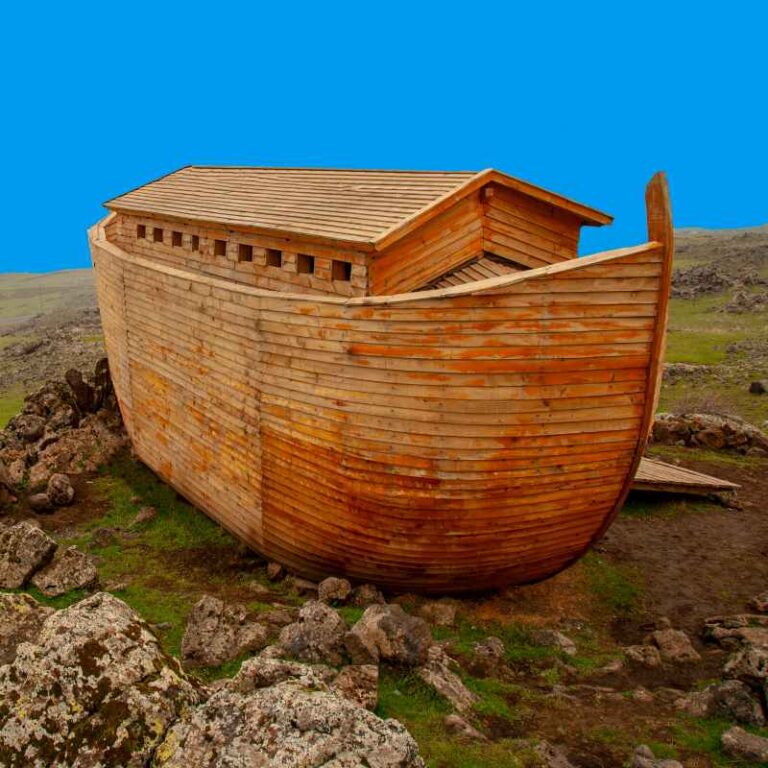 Where Did Noah Get The Wood To Build The Ark
