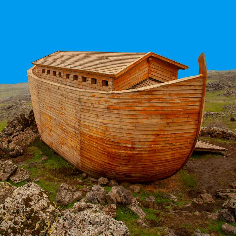 Where Did Noah Get The Wood To Build The Ark