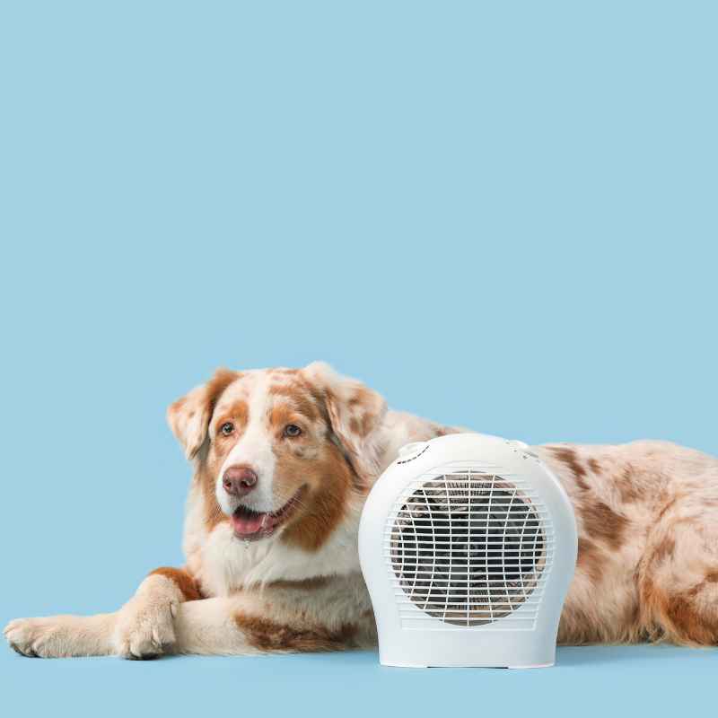 Where To Buy The Cheapest Portable Room Heaters Available