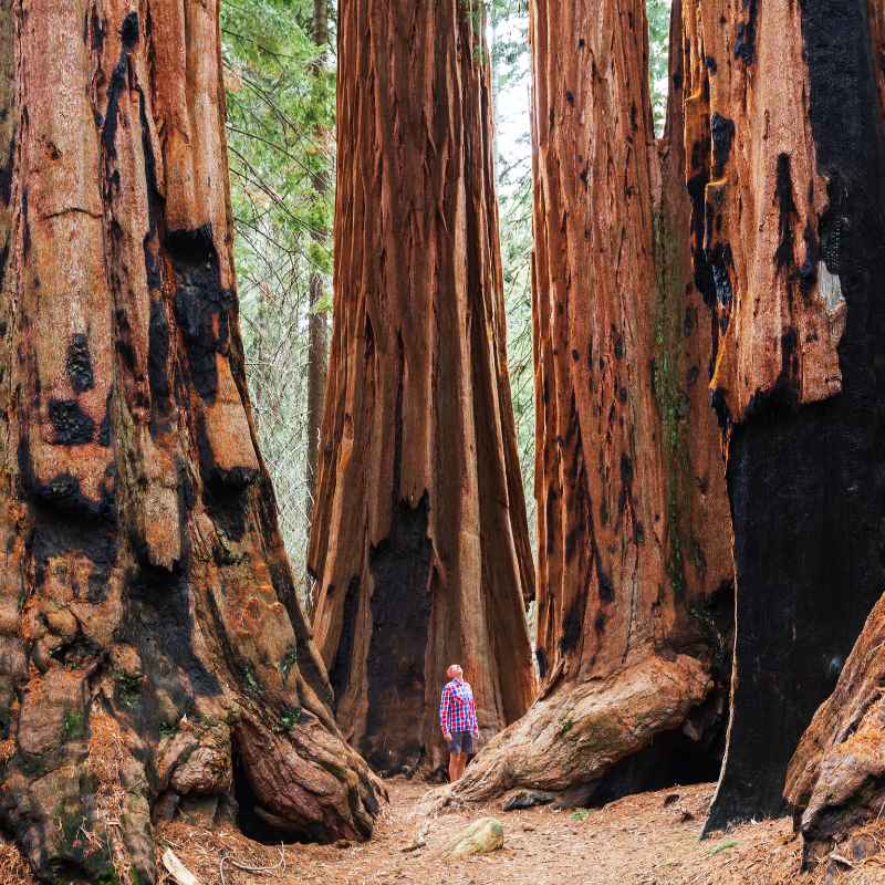 Where To Stay Close To Redwood National Park