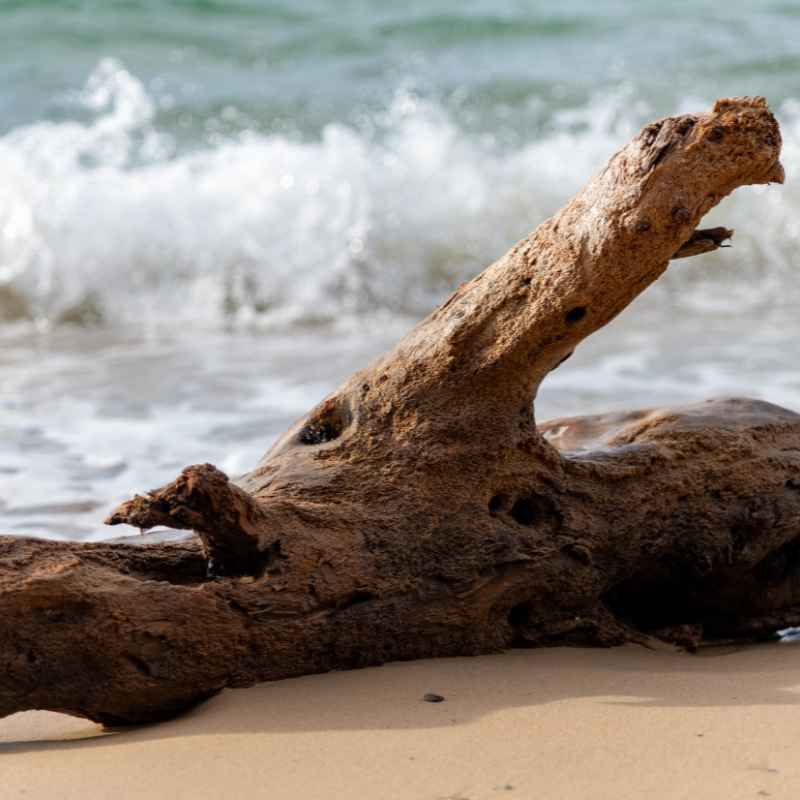 Can You Make Normal Wood Look Like Driftwood?