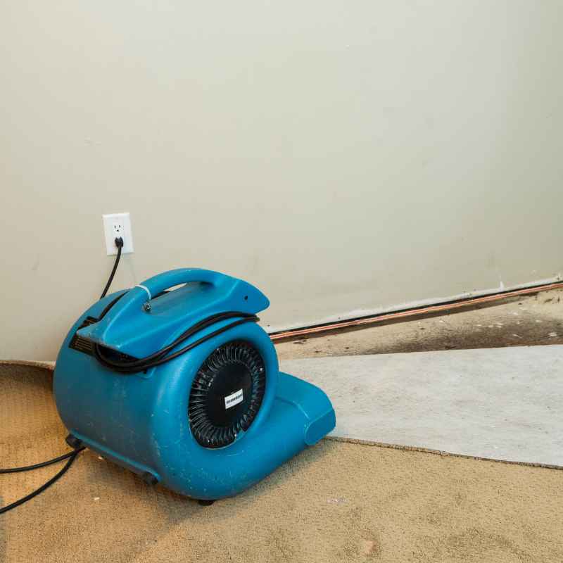 Cost and Value Eastwood Contour SCT vs Porter Cable Restorer
