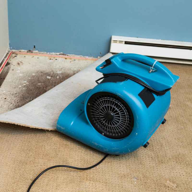 Eastwood Contour SCT vs Porter Cable Restorer