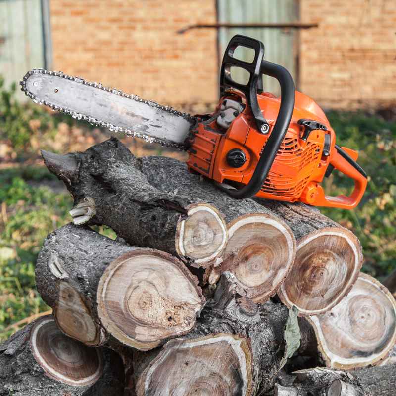 Echo vs Stihl Chainsaw Performance and Use Cases