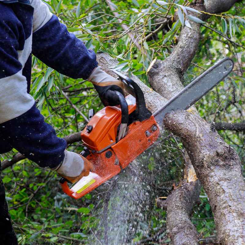 Echo vs Stihl Power Tool Brand Comparison