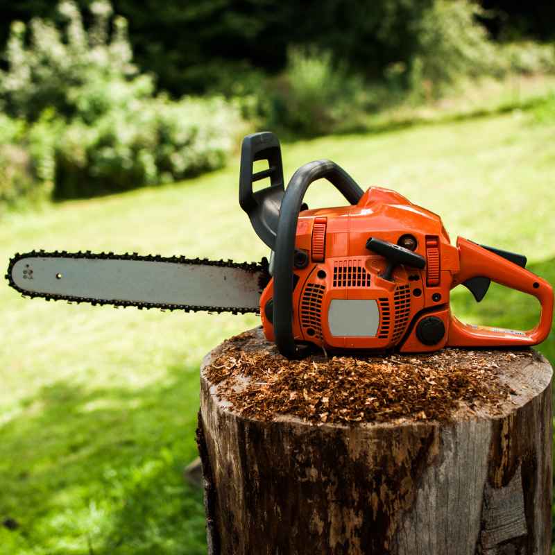Echo vs Stihl Which Power Tool Brand is Better