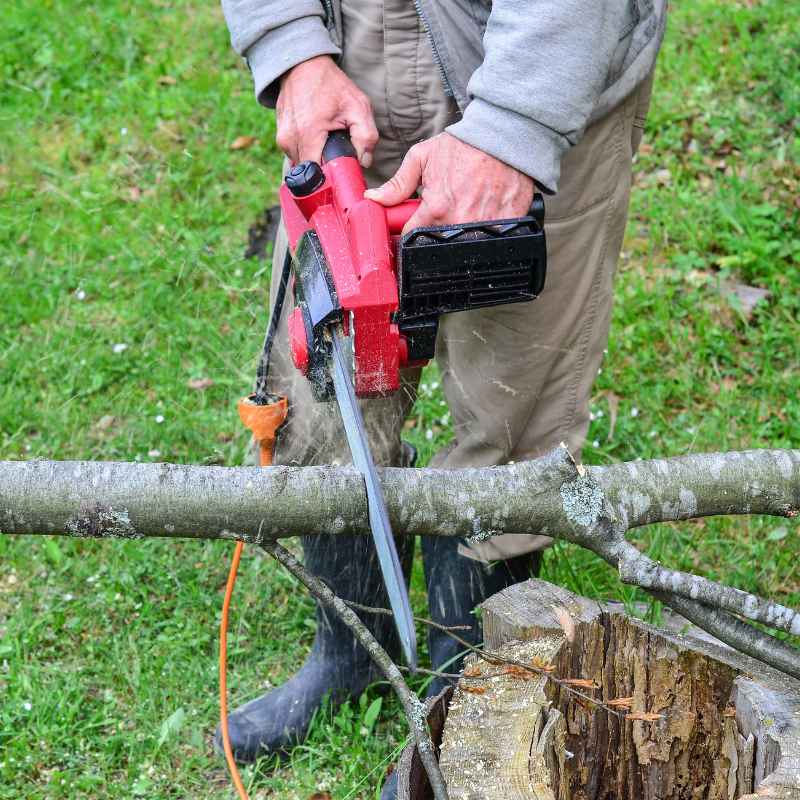 Electric Chainsaw Features and Benefits