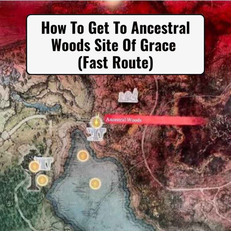 How To Get To Ancestral Woods Site Of Grace