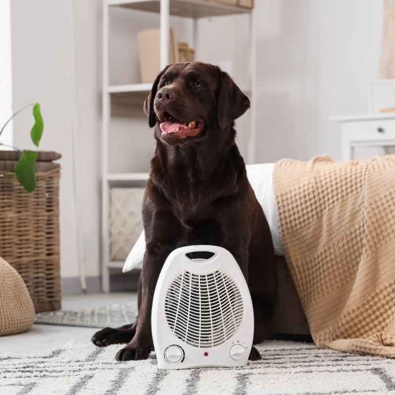 How to Prepare a Heater for Recycling or Disposal