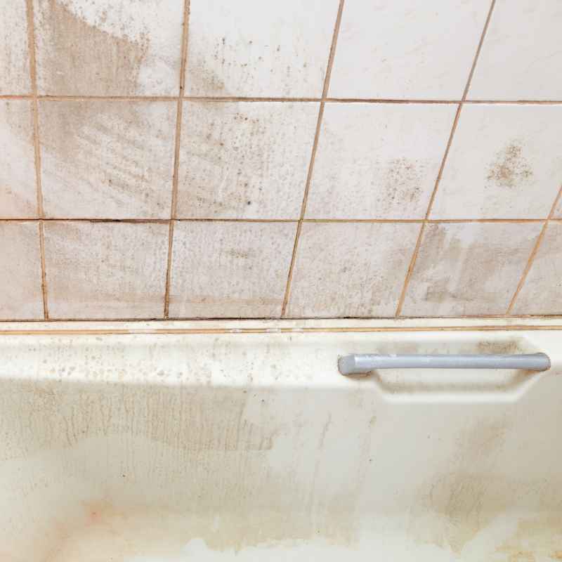 How to Remove Stains From a Fiberglass Shower Easily