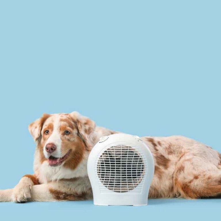 Is A Portable Heater Energy Efficient Enough To Matter?