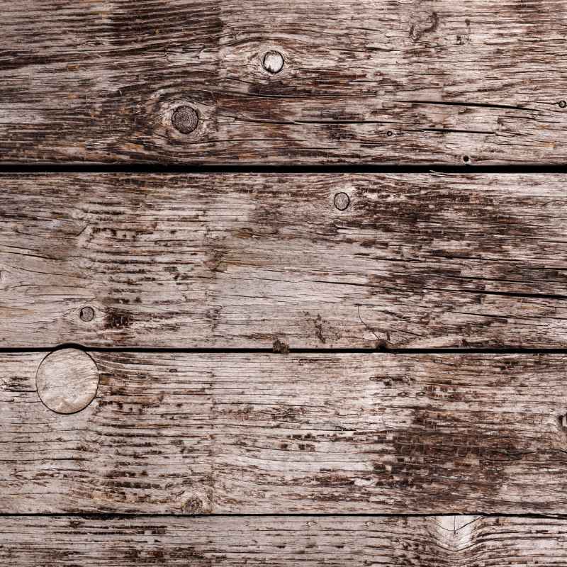 Quick Fixes & Tips for Your Driftwood Project