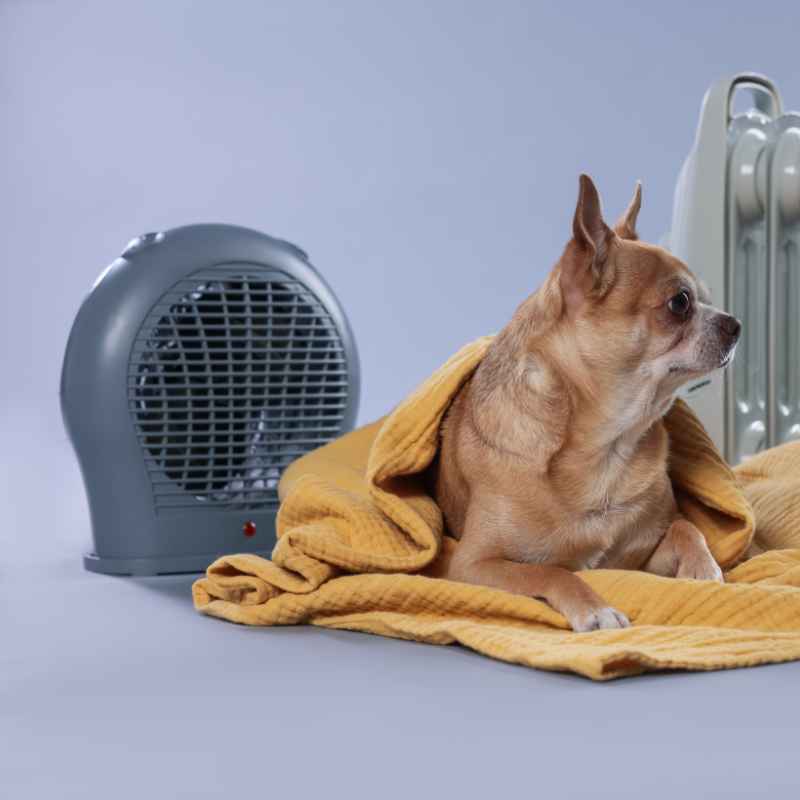 Quick Tips for Using Your Heater