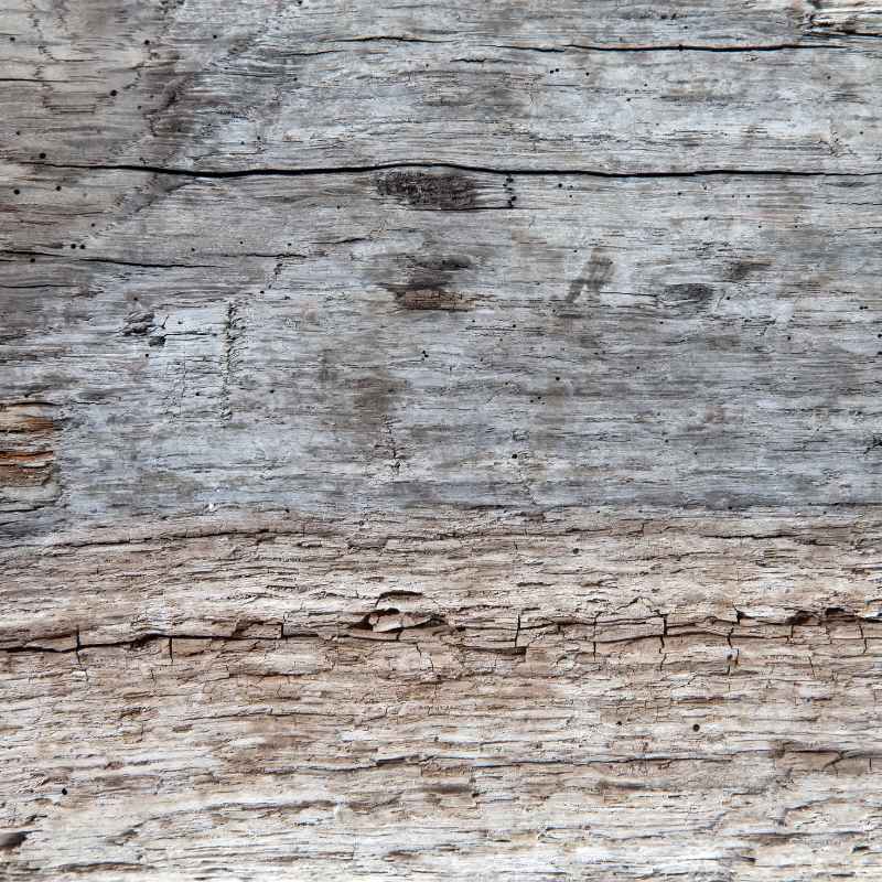 Understanding Driftwood's Look