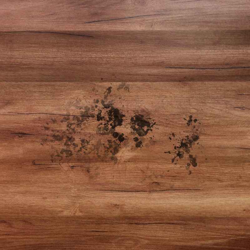 Understanding Water Stains on Wood