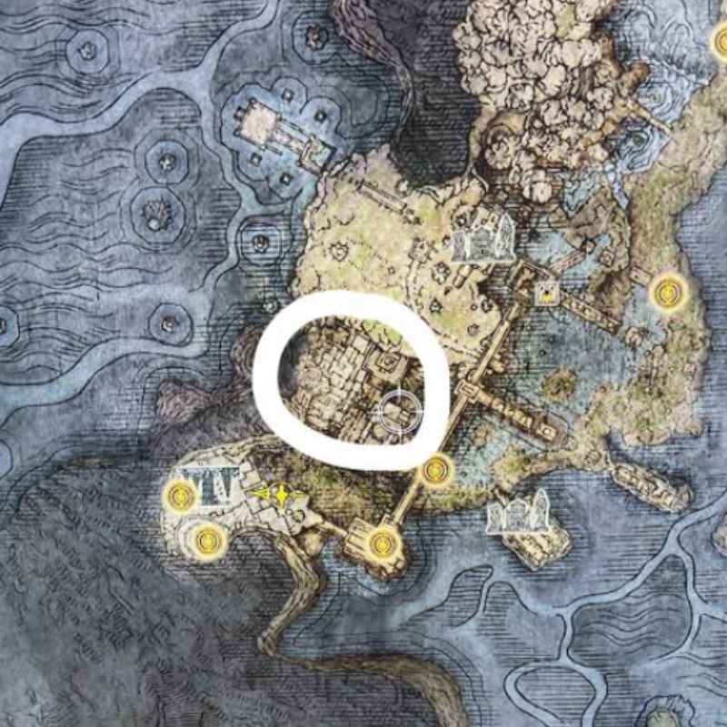 Understanding the Ancestral Woods Location