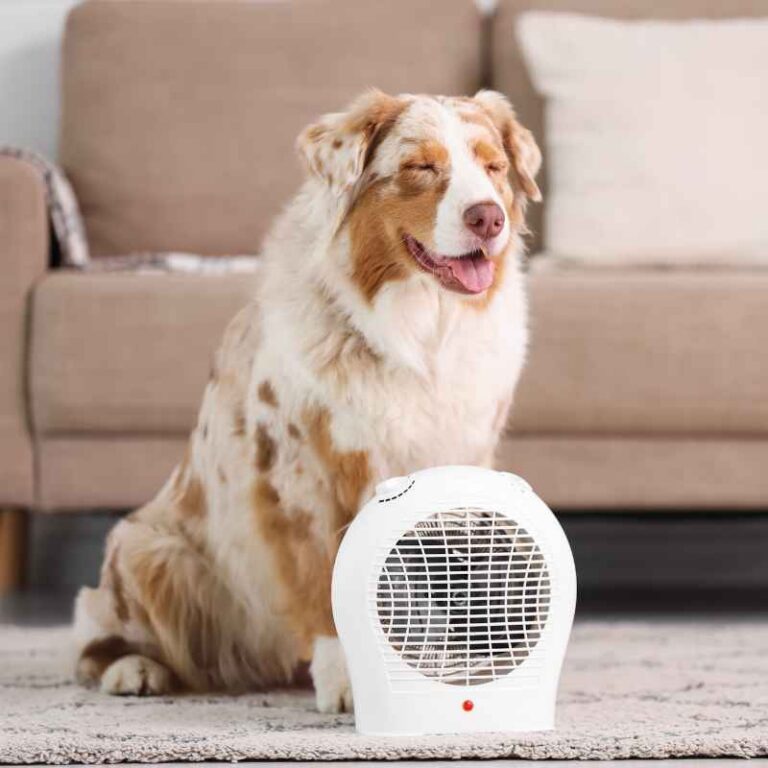 What Are The Best Indoor Heaters With Thermostat In 2025