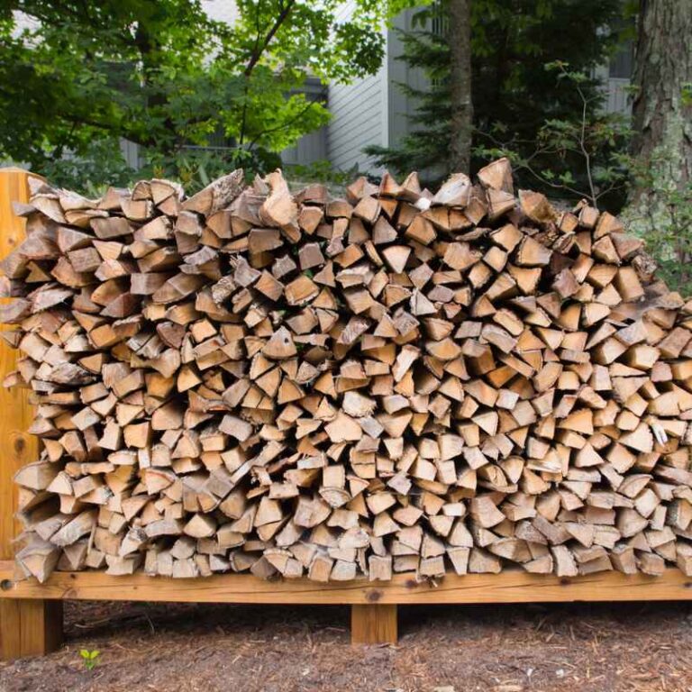 What Moisture Percentage Should Firewood Be For Best Burns?